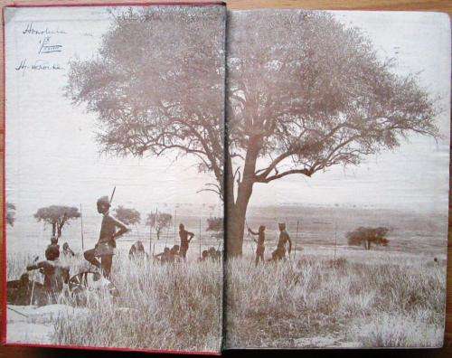 Safari a Saga of the African Blue