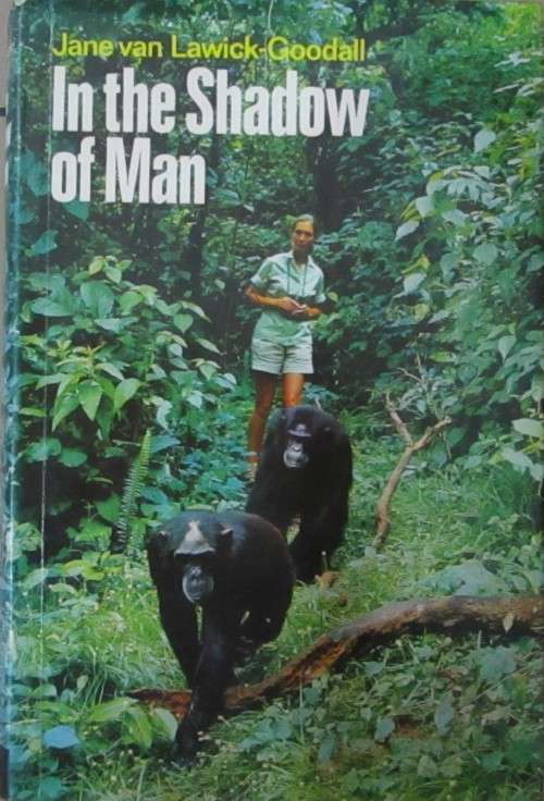 In the Shadow of Man