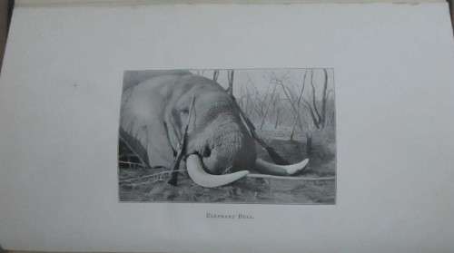 Nyasaland for the Hunter and Settler