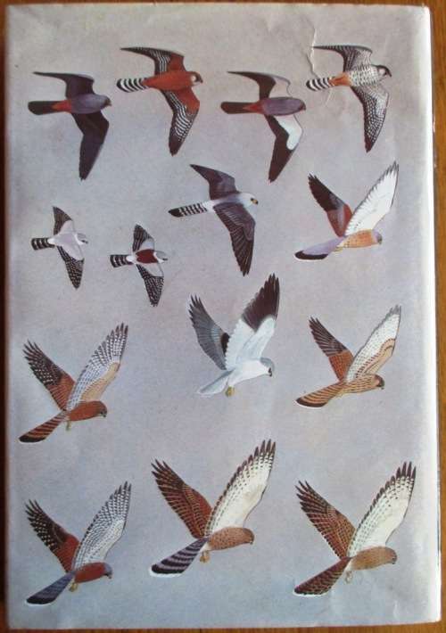 Birds of Prey of Southern Africa Their Identification and Life Histories