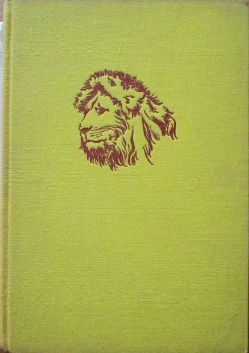 Simba the life of the Lion