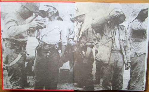 The Anglo-Boer War 1899-1902 : a pictorial history