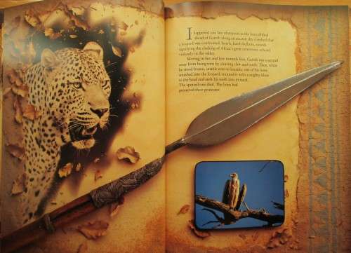 An African Journal