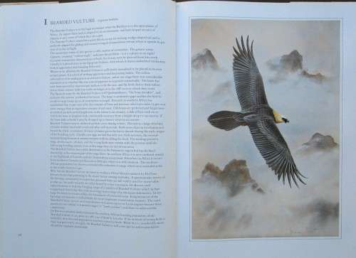 HUNTERS of the AFRICAN SKY