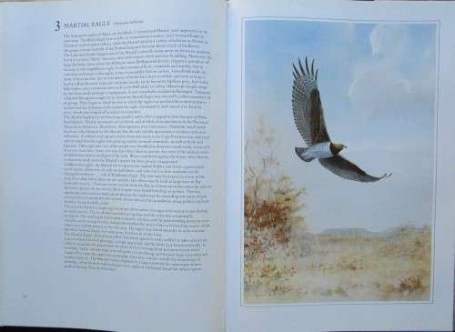 HUNTERS of the AFRICAN SKY