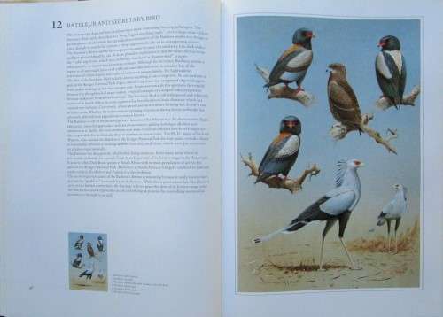 HUNTERS of the AFRICAN SKY