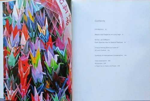 The Magic of Cranes