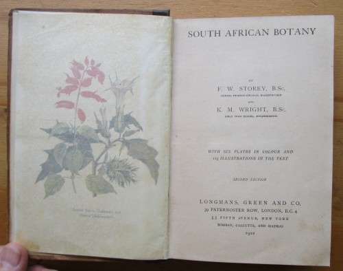 South African Botany