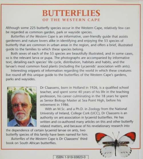 Butterflies of the Western Cape