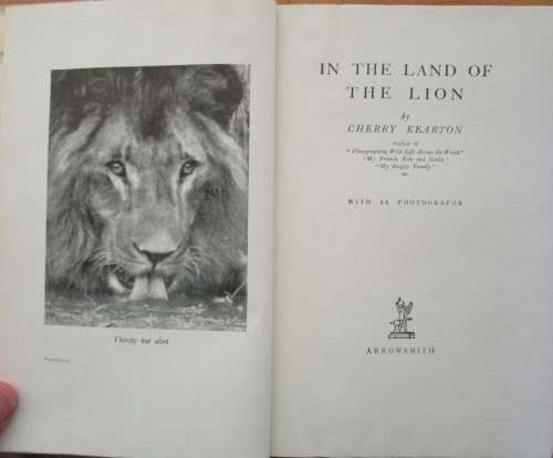 In the Land of the Lion
