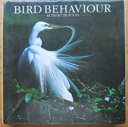 BIRD BEHAVIOUR.