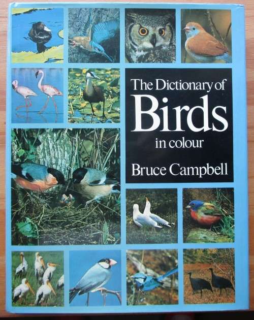 THE DICTIONARY OF BIRDS in colour