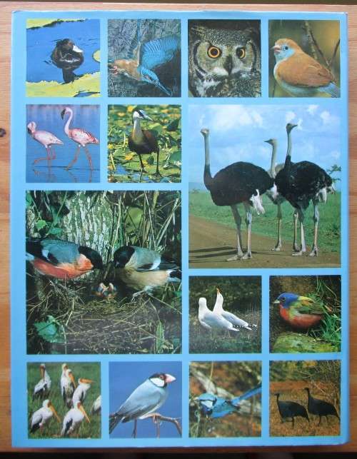 THE DICTIONARY OF BIRDS in colour