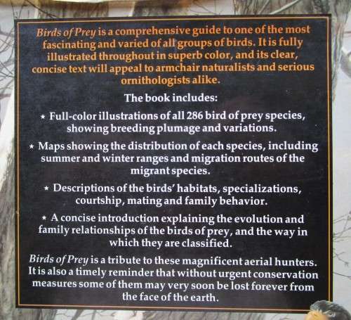 Birds of Prey