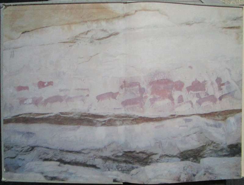 Bushman Art