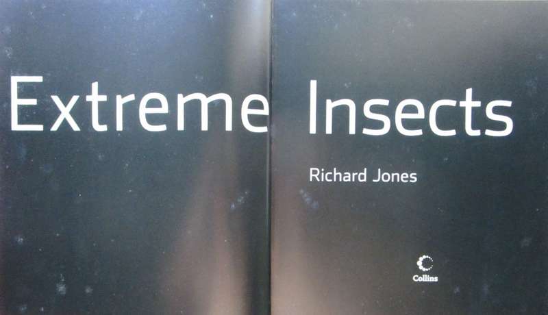 EXTREME INSECTS