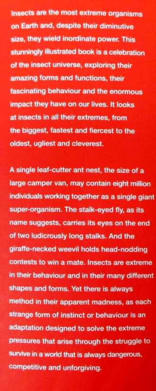 EXTREME INSECTS