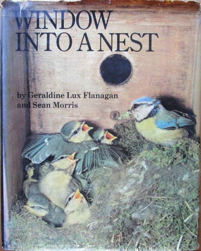 Window into a Nest