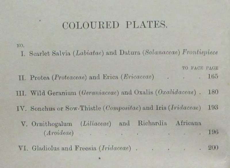 South African Botany