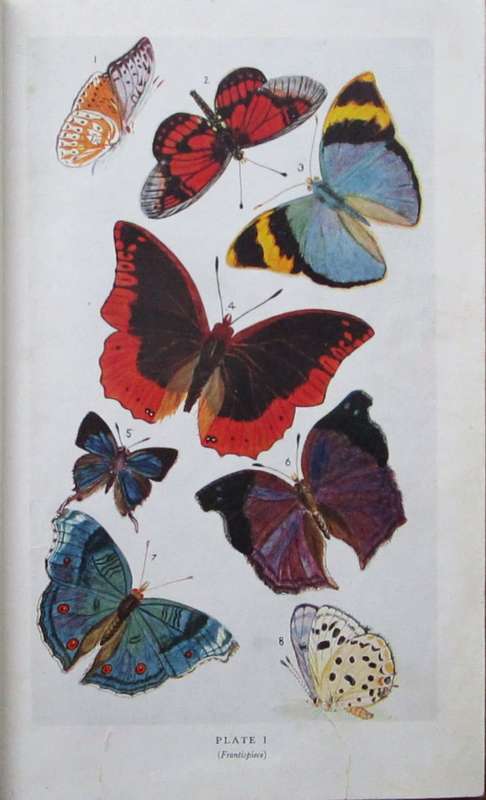 Butterflies of Rhodesia with a Short Introduction to the Insect World