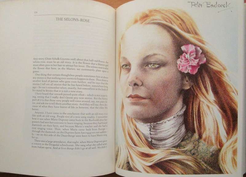 The Illustrated Bosman