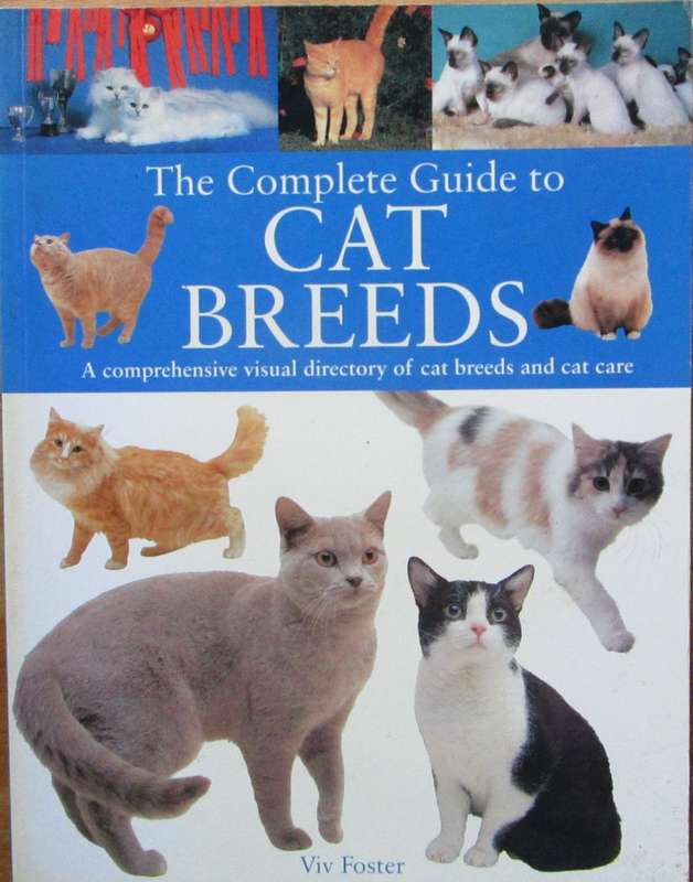 The Complete Guide to Cat Breeds