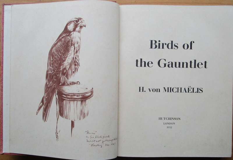 Birds of the Gauntlet
