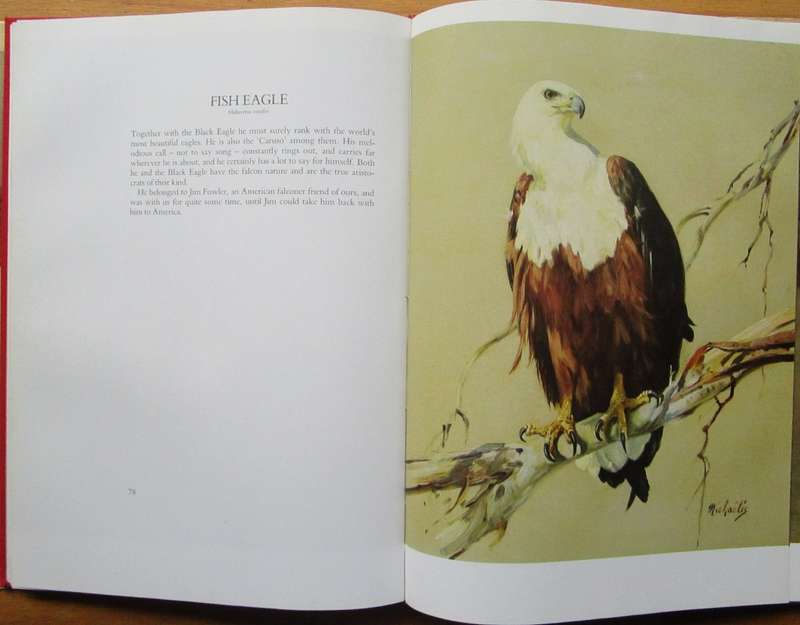 Birds of prey: A kinship