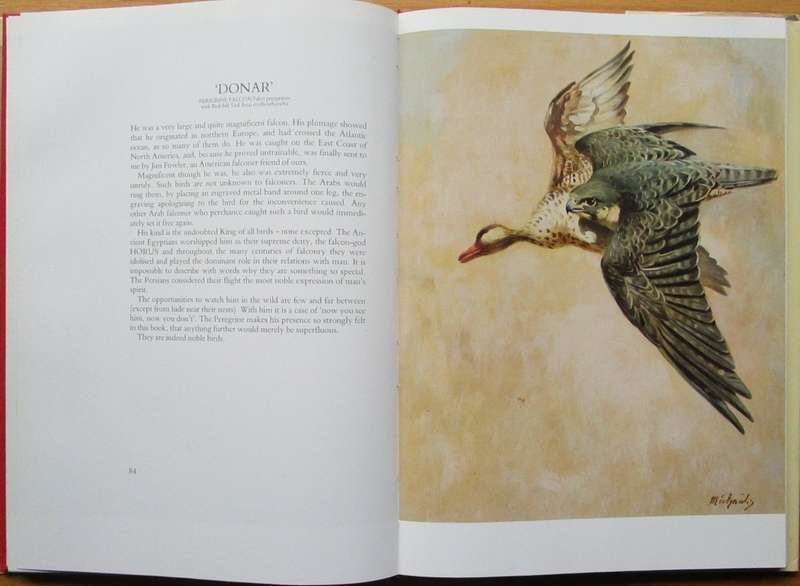 Birds of prey: A kinship