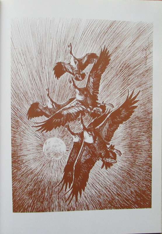 Birds of prey: A kinship