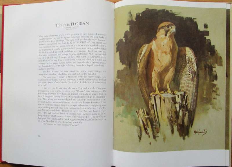 Birds of prey: A kinship