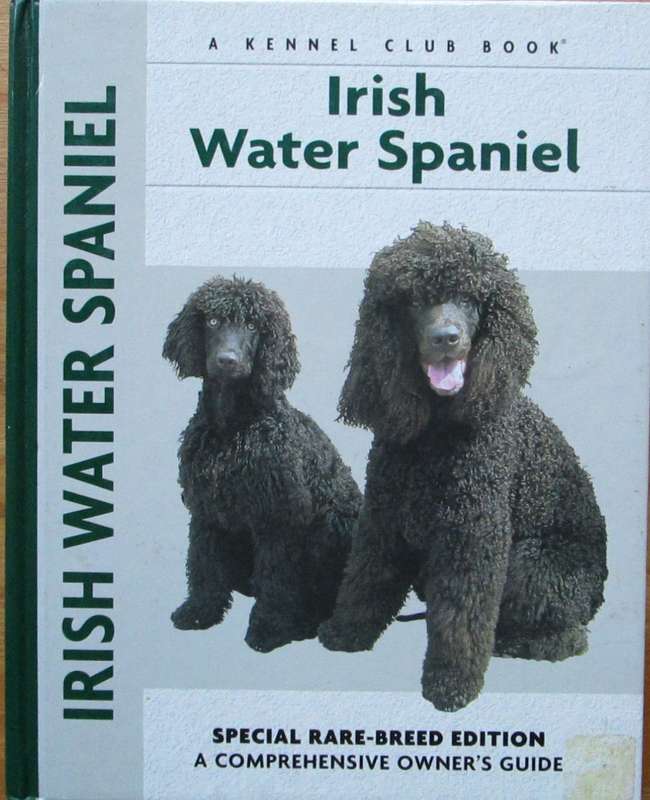 Irish Water Spaniel