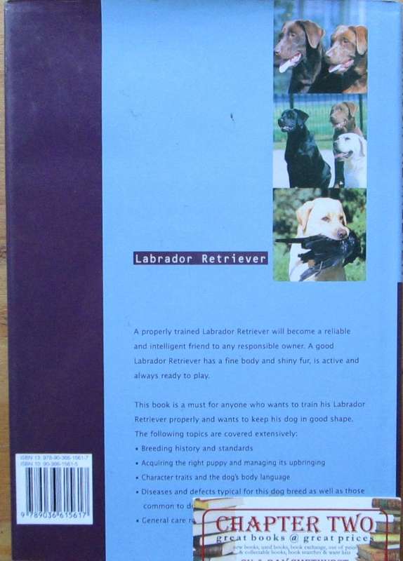 Labrador Retriever