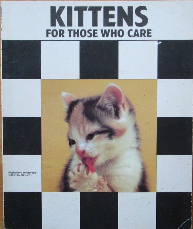 Kittens: For Those Who Care