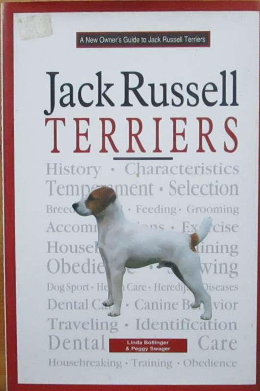 A New Owner`s Guide to Jack Russell Terriers