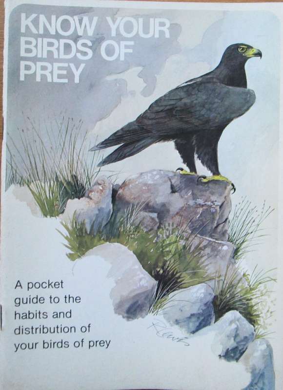 Know Your Birds of Prey