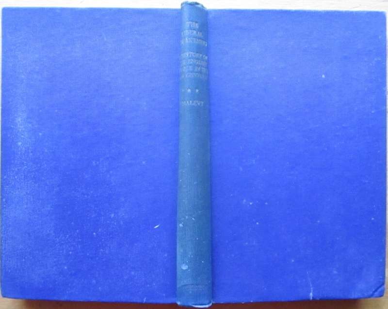 The Liberal Awakening 1815 - 1830: A History of the English People in the Nineteenth Century - II