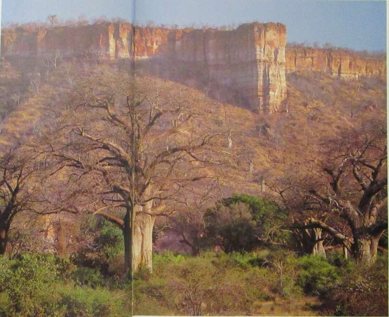 This Is Zimbabwe