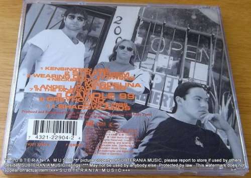 BIG HEAD TODD & THE MONSTERS Strategem CD