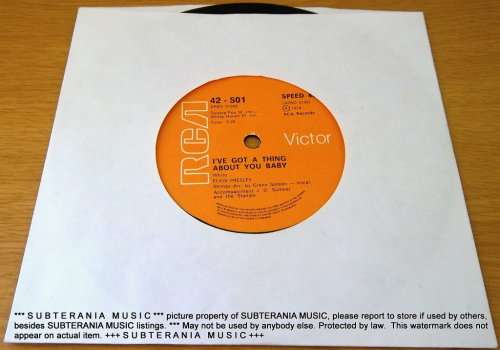 ELVIS PRESLEY Take Good Care Of Her 7` single