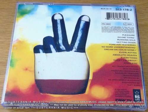 THE SOUP DRAGONS Hotwired CD
