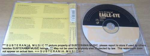 EAGLE EYE CHERRY Are You still Having Fun? CD Single