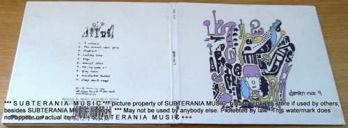 DAMIEN RICE 9  [shelf G box 5]