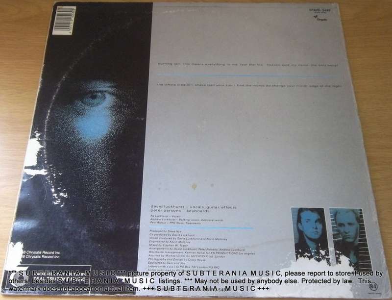 CRAZY HOUSE Still Looking for Heaven on Earth Vinyl LP
