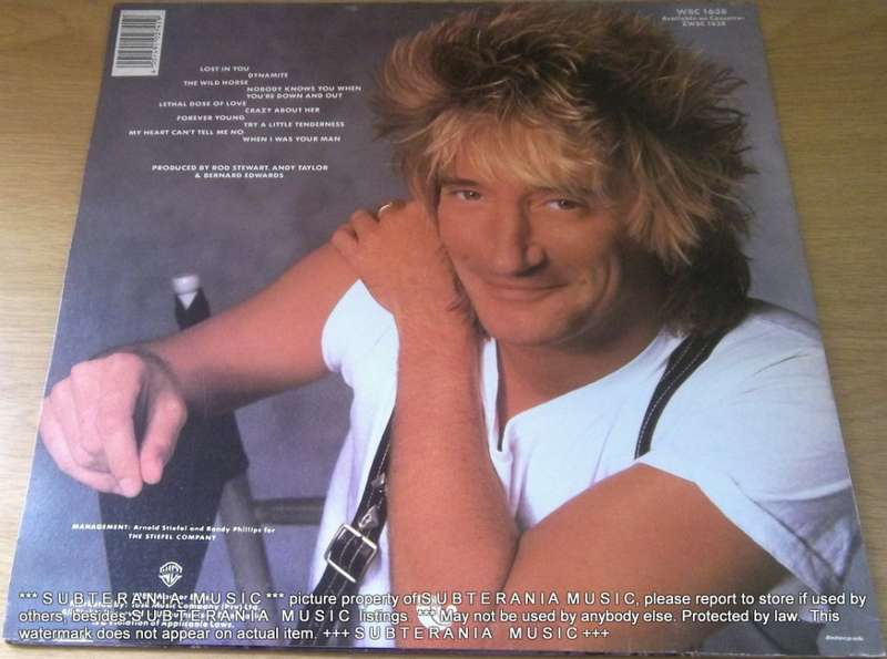 ROD STEWART Out of Order Vinyl LP