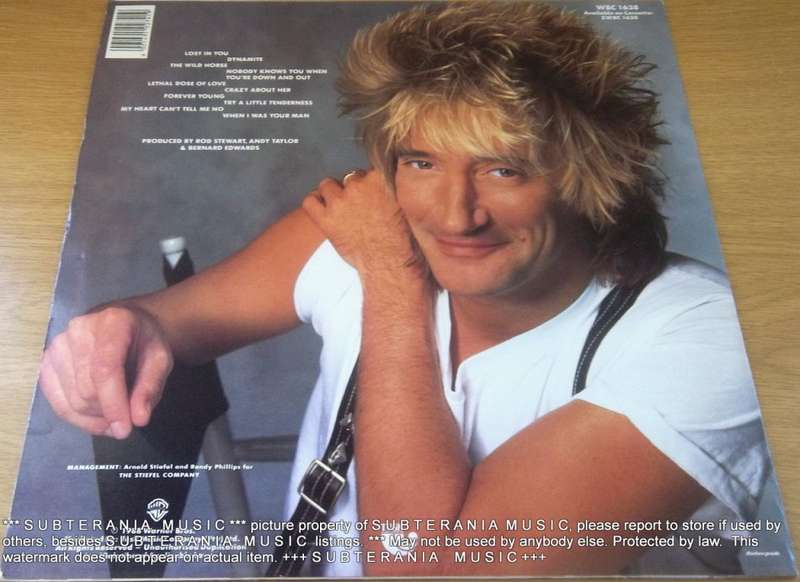 ROD STEWART Out of Order Vinyl LP [in CNA sleeve - for location purposes only]