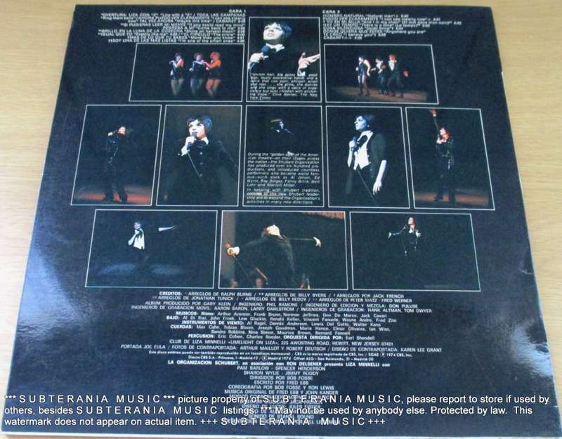 LIZA MINNELLI Live At The Winter Garden VINYL RECORD