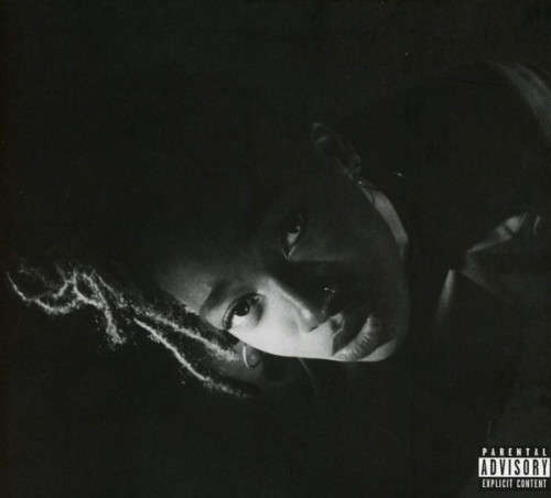 LITTLE SIMZ Grey Area CD