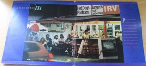 LINDA RONSTADT Living in the USA LP VINYL Record