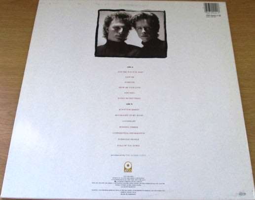 REMBRANDTS Rembrandts IMPORT LP Vinyl Record